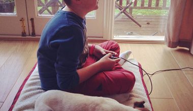 how-much-money-can-you-make-on-sleeping-dogs